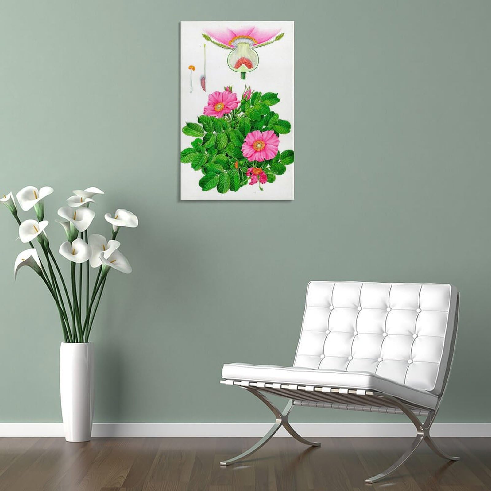 Amazon.co.jp: 水彩画 植物細密画「ハマナス」 ホーム装飾 アート
